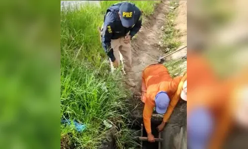 Desaparecido há 8 dias, idoso é encontrado dentro de bueiro na BR-101