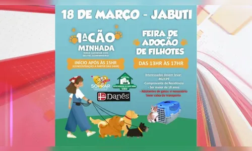 Soprap realiza feira de adoção de cães e gatos neste sábado (18)