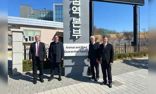 Paraná quer acelerar venda de carne suína; saiba mais