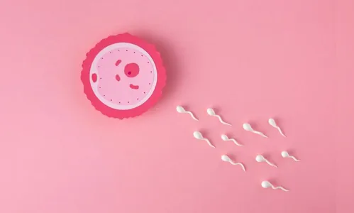 Reprodução assistida: saiba quando é a hora de procurar o tratamento