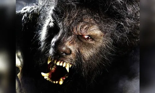 TikToker afirma existência de suposto lobisomem no Vale do Ivaí; veja