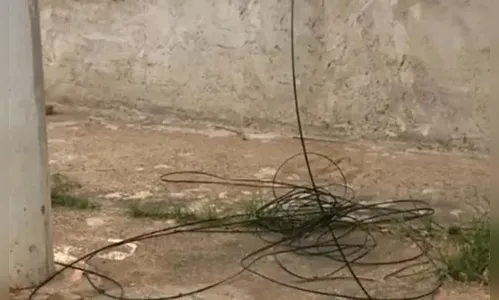 Caminhoneiro foge após arrebentar cabos de internet em pesqueiro