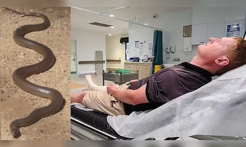 Pai se joga na frente de cobra letal e salva a vida de filha de 2 anos