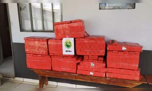 PRE apreende mais de 260 kg de maconha na PR-323