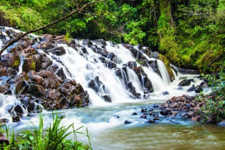 Mauá da Serra detém o segundo maior ICMS Ecológico da região