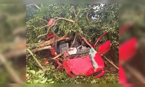 Jovem de 19 anos morre após caminhonete bater em árvore no Paraná