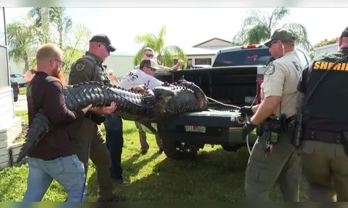 Jacaré de quase 3 metros mata idosa de 85 anos que passeava com pet