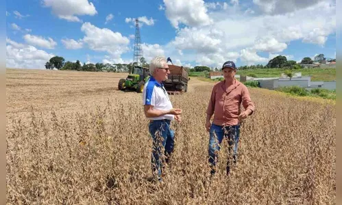 Safra de soja deve crescer 70% na região e movimentar R$ 3,1 bi