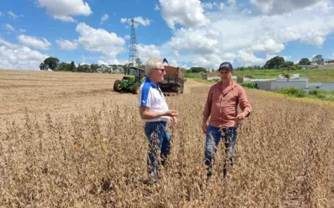 O bom resultado regional ocorre principalmente por conta da recuperação da produtividade na área da Seab de Ivaiporã