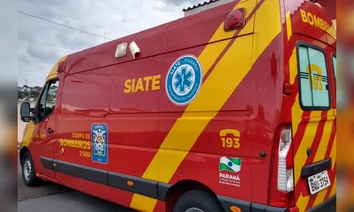 Bombeiro é atacado por cachorro em Londrina; militar atirou no animal