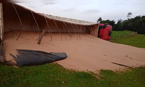 Carreta com grãos tomba após evitar colisão com carro na PR-239