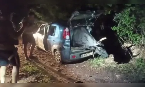 Carro é achado em área de mata com boi de grande porte no bagageiro