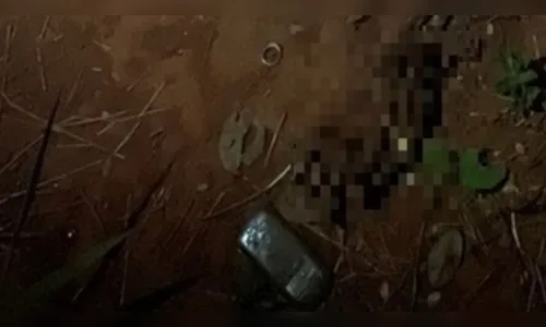 Ossada humana é encontrada perto do Palácio do Planalto, em Brasília