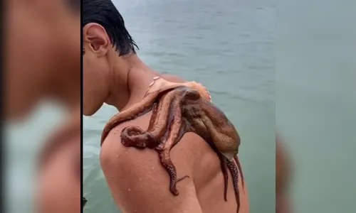 Jovem nada com polvo grudado nas costas em Santa Cataria e viraliza