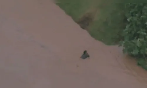 Vídeo: homem se afoga e desaparece em correnteza ao vivo na Record