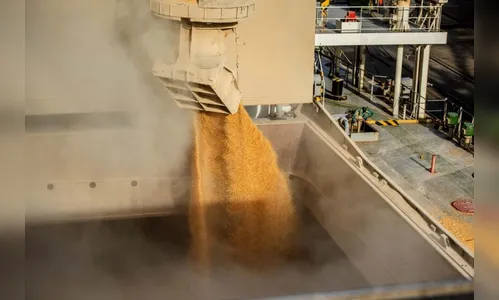 Exportações paranaenses crescem 9% no primeiro bimestre de 2023