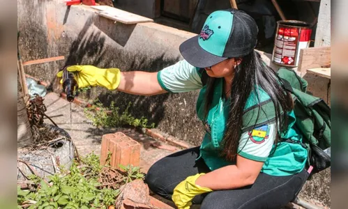 Dengue: tempo chuvoso e alta temperatura exigem cuidado redobrado