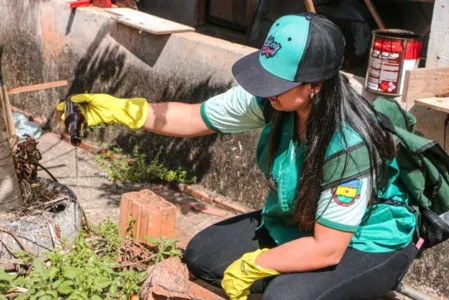 O mosquito é transmissor da dengue, Chikungunya e Zika