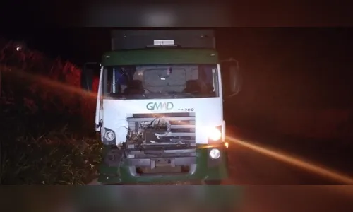 Caminhoneiro atropela três cavalos na PR-090; animais morreram