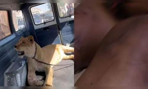 Mulher morde olho de leão para fugir de ataque brutal; entenda