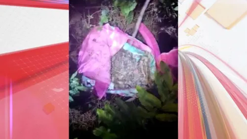 O trabalhador se deparou com a mochila cor de rosa no meio de uma mata