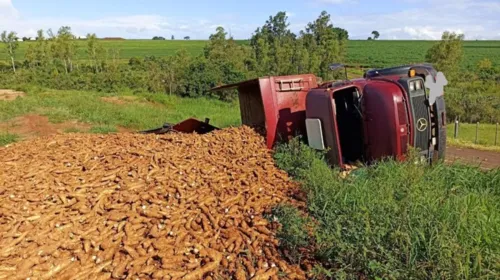 O veículo estava carregado com mandioca e teria perdido os freios