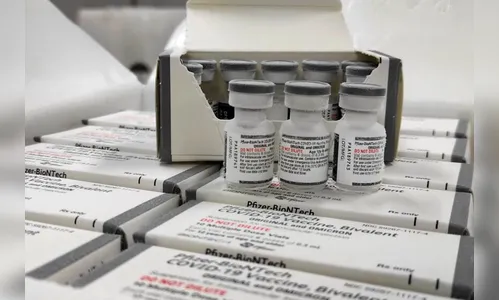 Paraná recebe 641 mil vacinas bivalentes para grupos prioritários