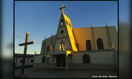 Paróquia de Apucarana promove distribuição de mudas; saiba mais