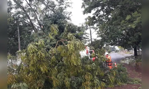Vendaval no Oeste do PR derruba energia e Copel mobiliza eletricistas