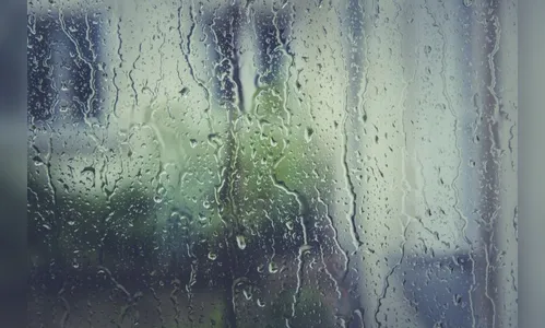 Apucarana registra volume expressivo de chuva na madrugada; confira