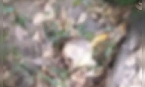 Susto: homem pesca cabeça humana em rio de Sergipe