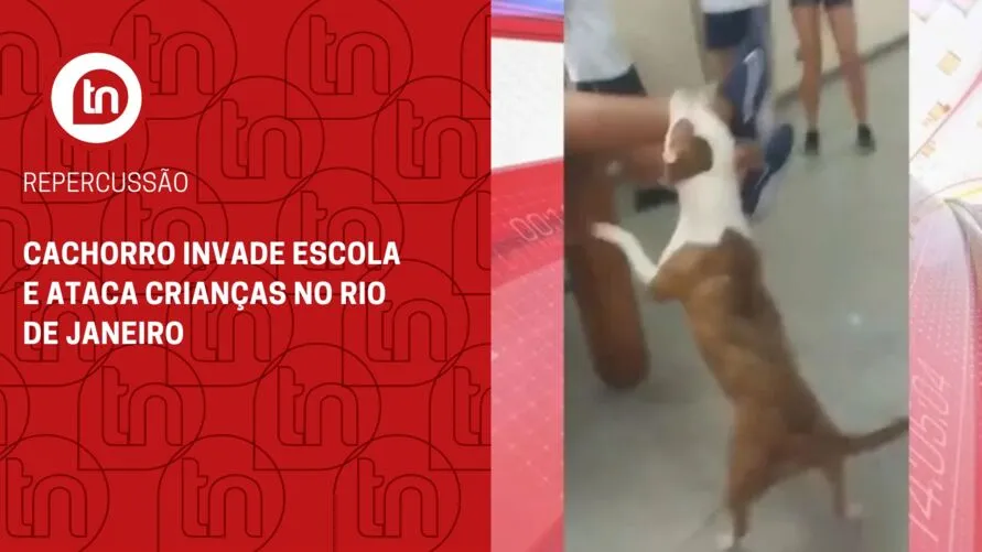 Cachorro invade escola e ataca crianças no Rio de Janeiro