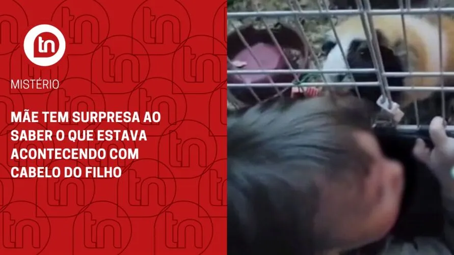 Mãe tem surpresa ao saber o que estava acontecendo com cabelo do filho