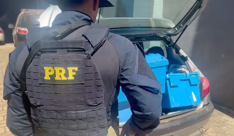 Os presos foram encaminhados à Polícia Civil de Laranjeiras do Sul