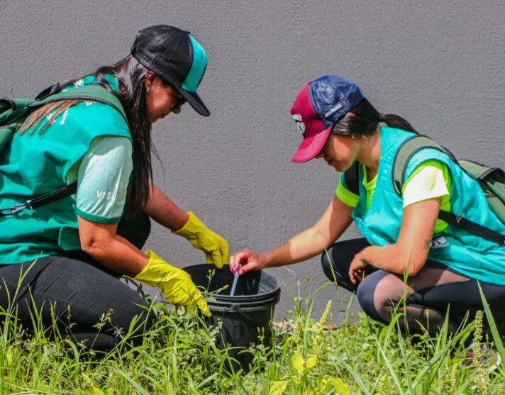 Paraná soma 8.723 casos de dengue e 8 mortes