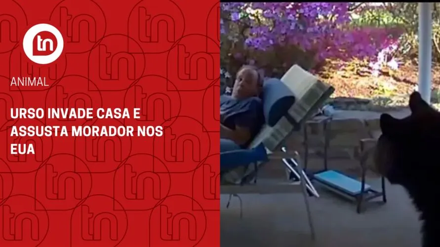 Urso invade casa e assusta morador nos EUA