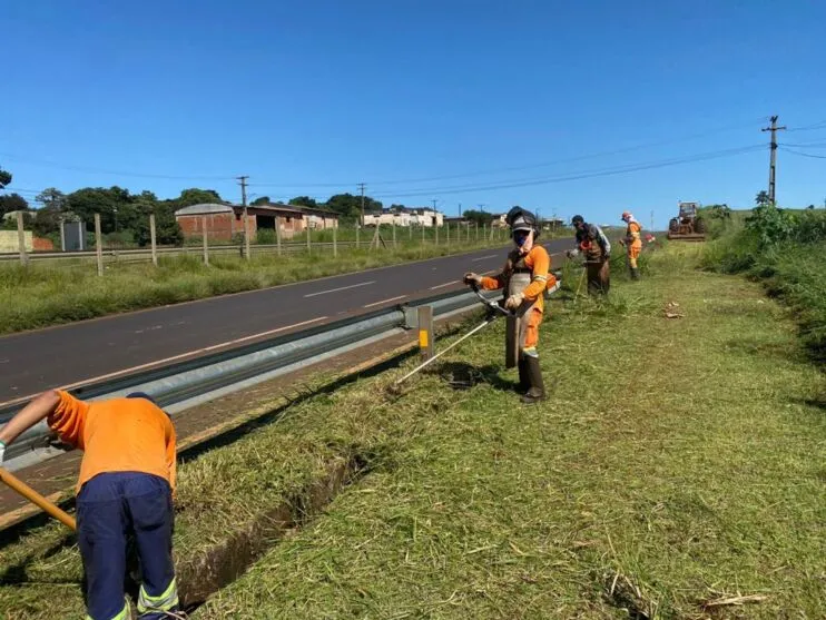 roçagens às margens da rodovia