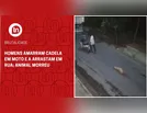 Homens amarram cadela em moto e a arrastam em rua; animal morreu