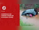 Ocorrências que chamam atenção em Apucarana e região