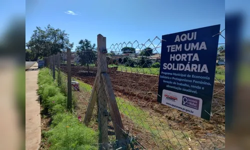 Prefeitura de Apucarana inaugura 30ª Horta Solidária, no Dom Romeu