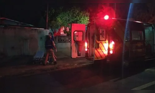 Cachorro persegue motocicleta e causa acidente em Apucarana