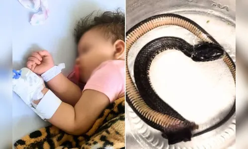 Bebê é levada às pressas a hospital após ser atacada por cobra em casa