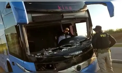Motorista é flagrado usando capacete ao dirigir ônibus sem para-brisa