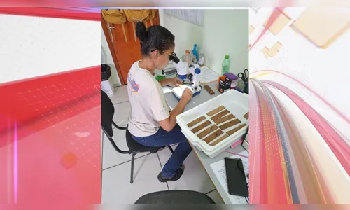 Lunardelli adquire microscópio para monitoramento da dengue