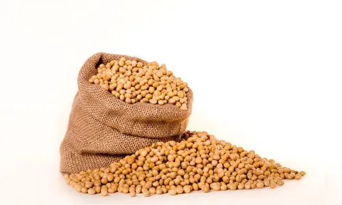 Bandidos tentam roubar soja, mas entram no local errado; entenda