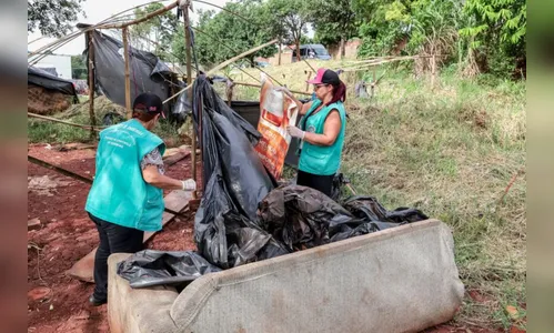 Saúde de Apucarana alerta sobre aumento de casos de dengue