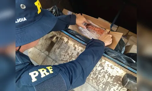 PRF apreende quase cinco toneladas de camarão contrabandeado no Paraná
