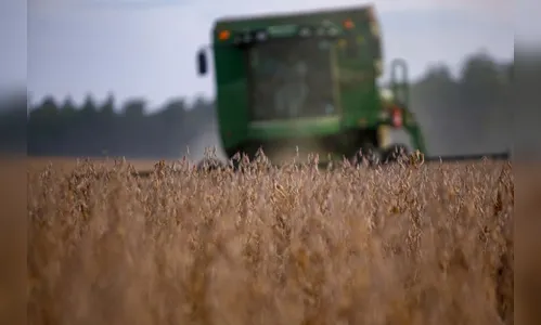 Com colheita avançada, relatório confirma maior safra de soja do PR