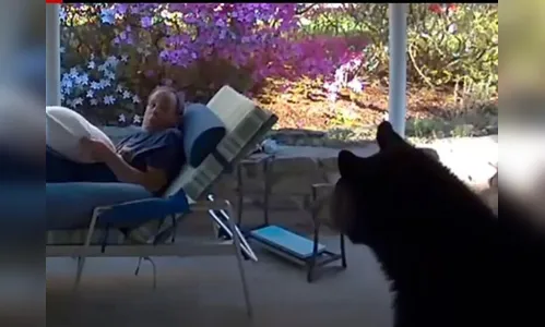 Urso invade casa e assusta morador nos EUA; veja