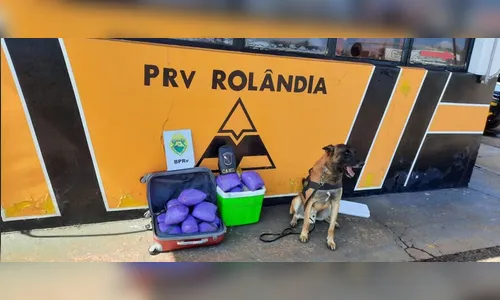 Passageira de ônibus é presa com 10 kg de skank em Rolândia